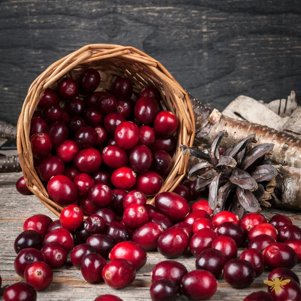 Cranberry Woods Scented Beeswax Candle