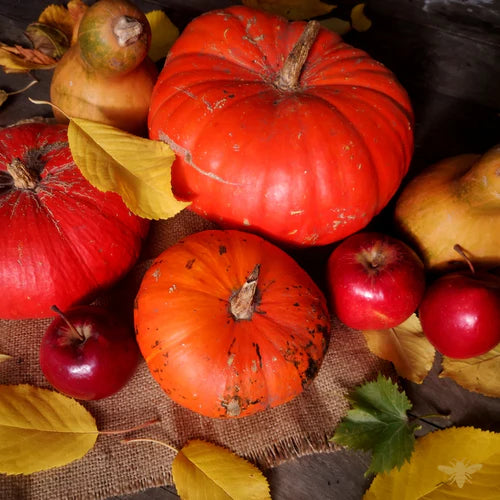 Autumn Harvest Scented Candle