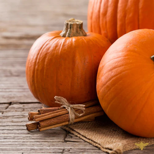 Pumpkin + Patchouli Scented Candle